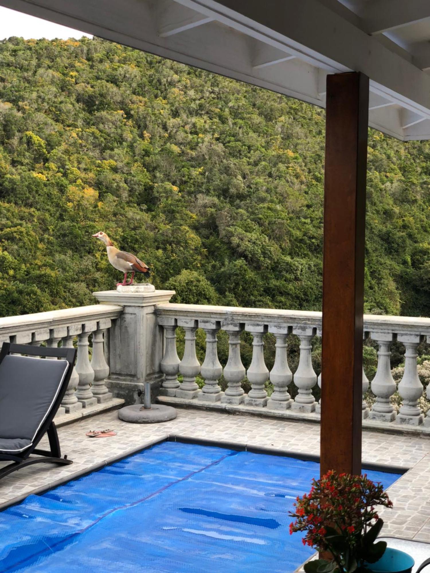 Livingstone Villa 윌더니스 외부 사진